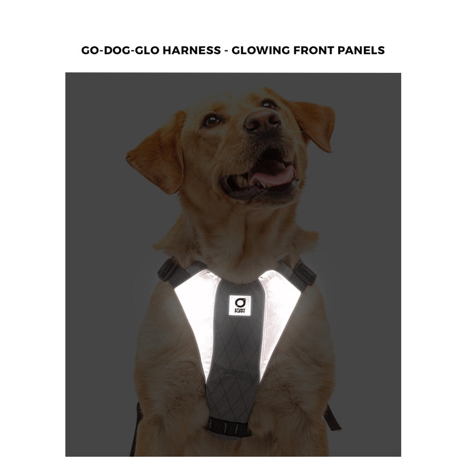 Go-Dog-Glo Harness