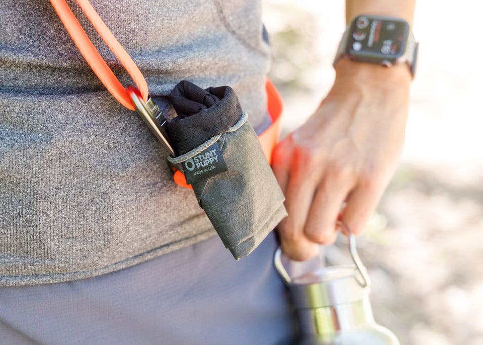 Scout Leash - Follow, Play, Explore