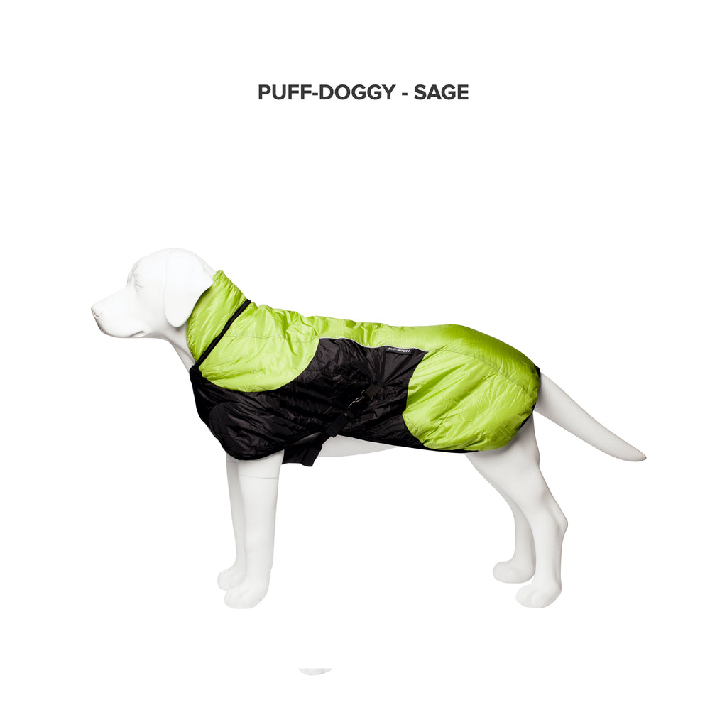 Good2go clearance dog jacket