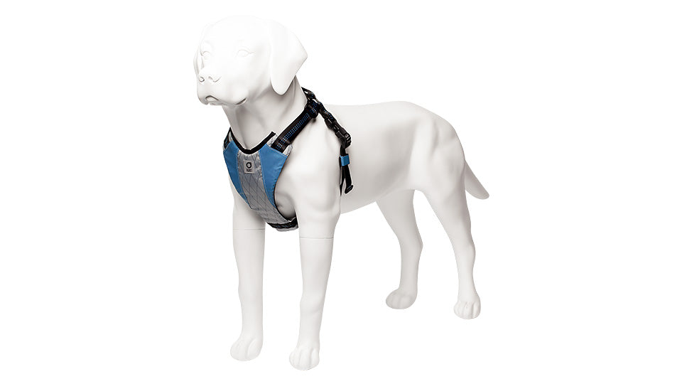 Hi craft cheap dog harness