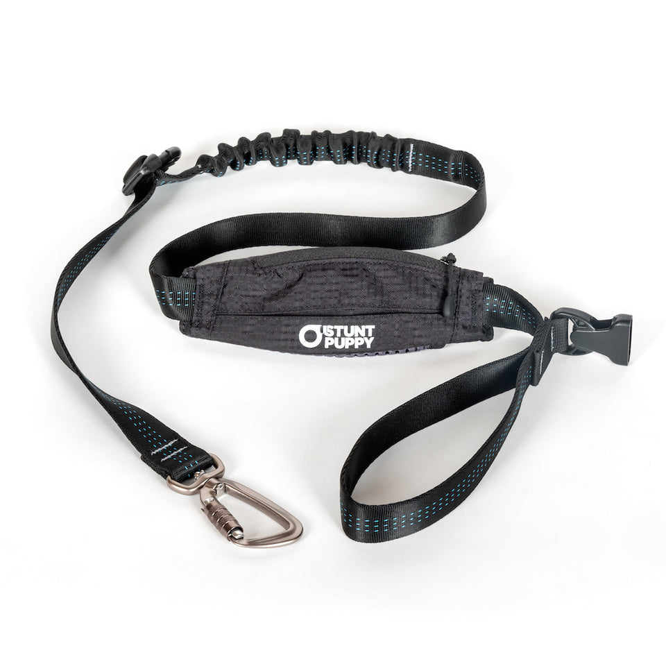 Scout Leash - Follow, Play, Explore