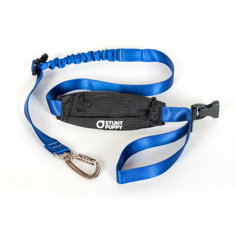 Scout Leash - Follow, Play, Explore