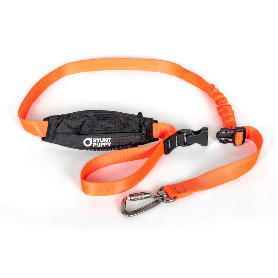 Scout Leash - Follow, Play, Explore