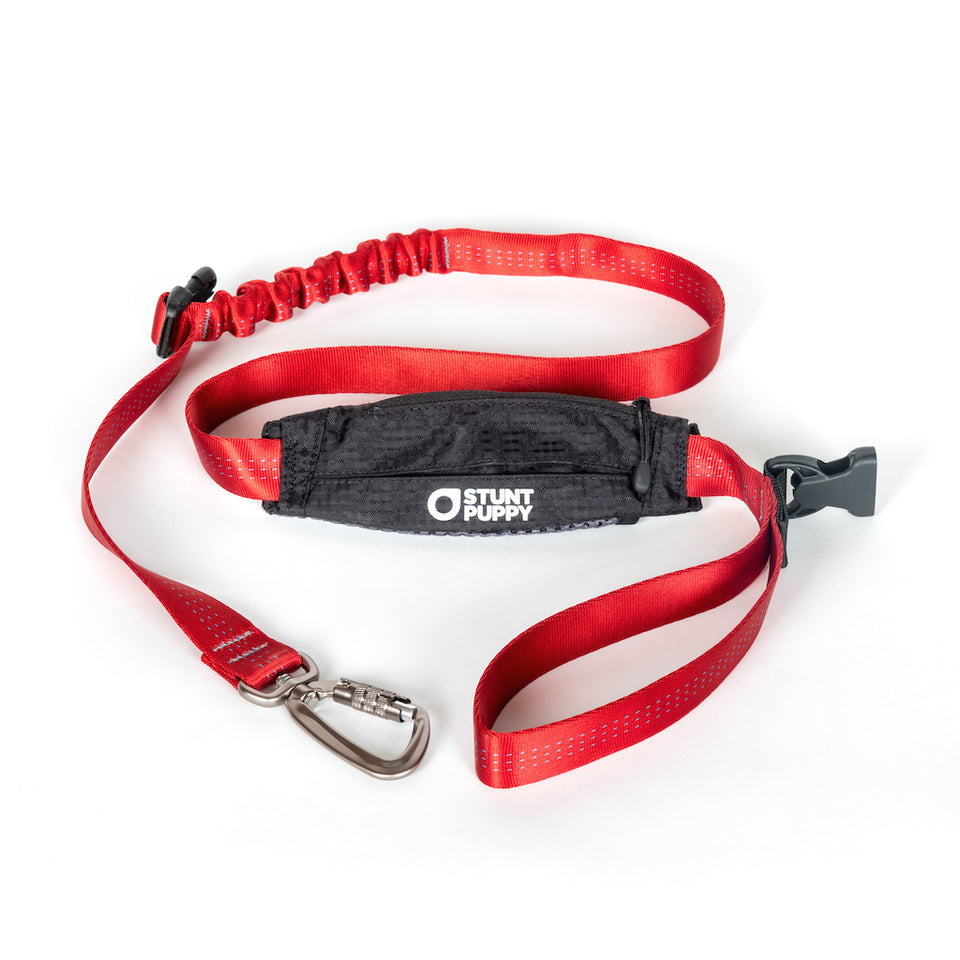 Scout Leash - Follow, Play, Explore