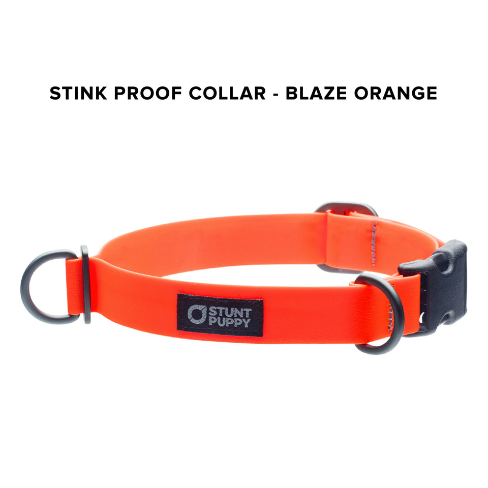 Stink Proof Collars