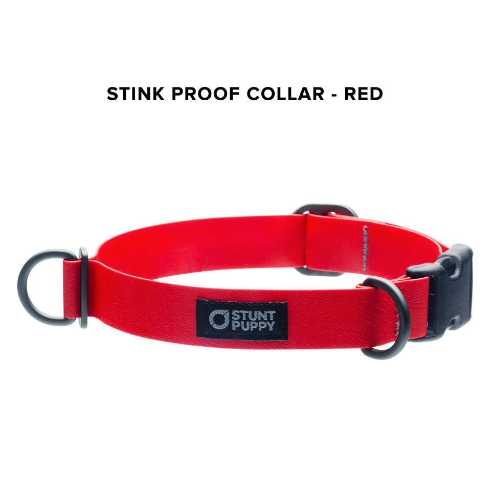 Stink Proof Collars