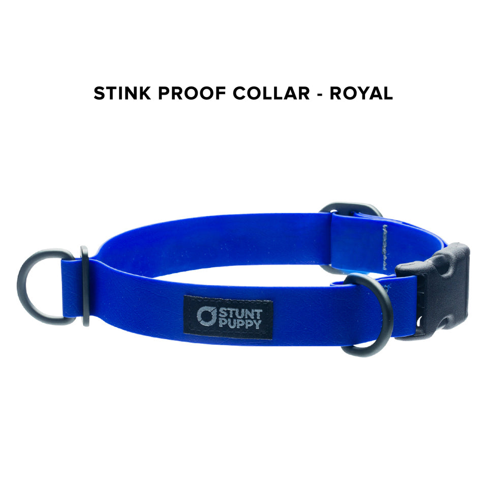 Stink Proof Collars