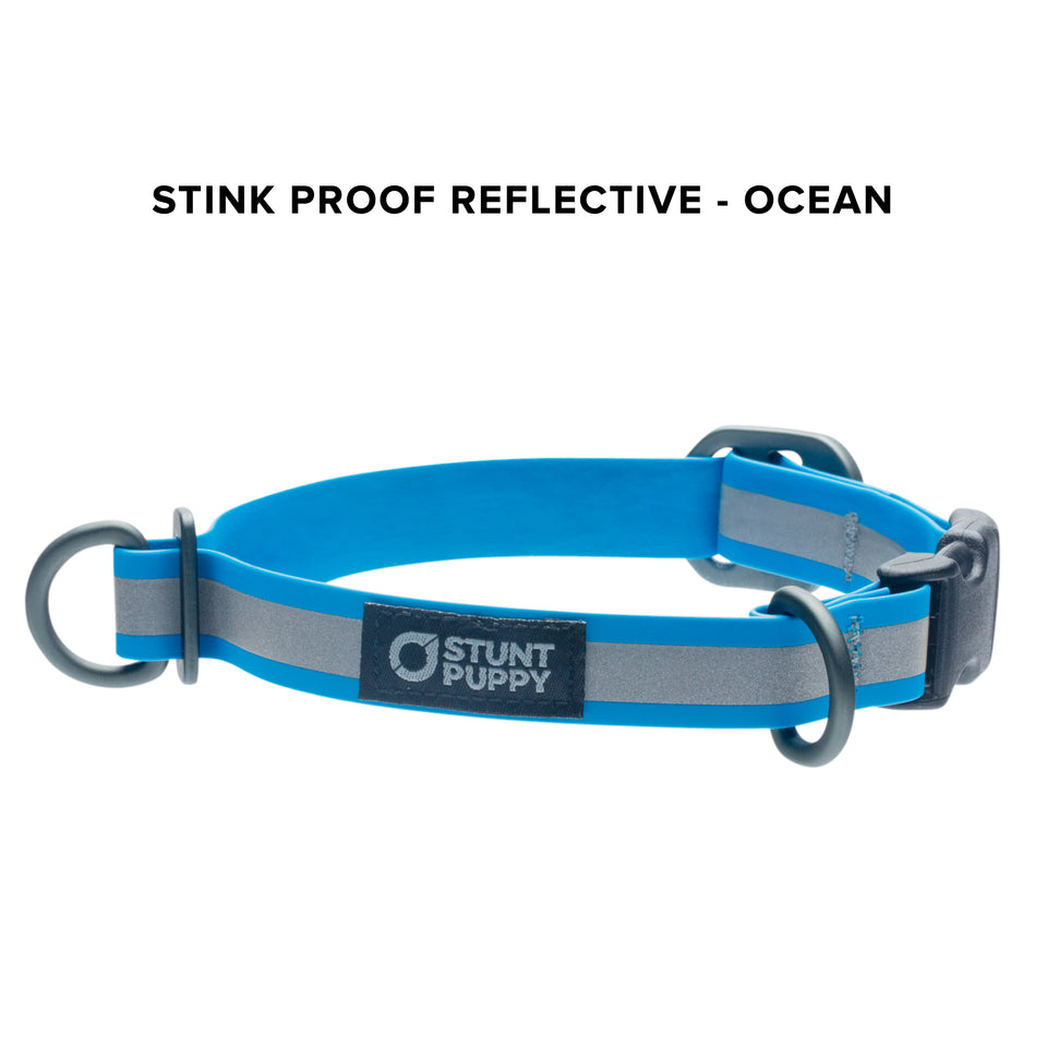 Stink Proof Reflective Collars