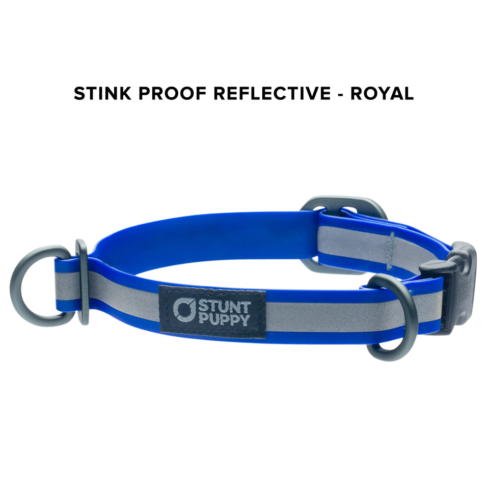 Stink Proof Reflective Collars