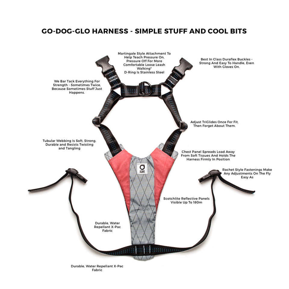 Go-Dog-Glo Harness