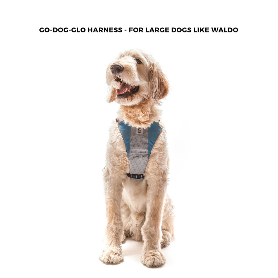 Stunt Puppy Go Dog Glo Harness - Medium Grey