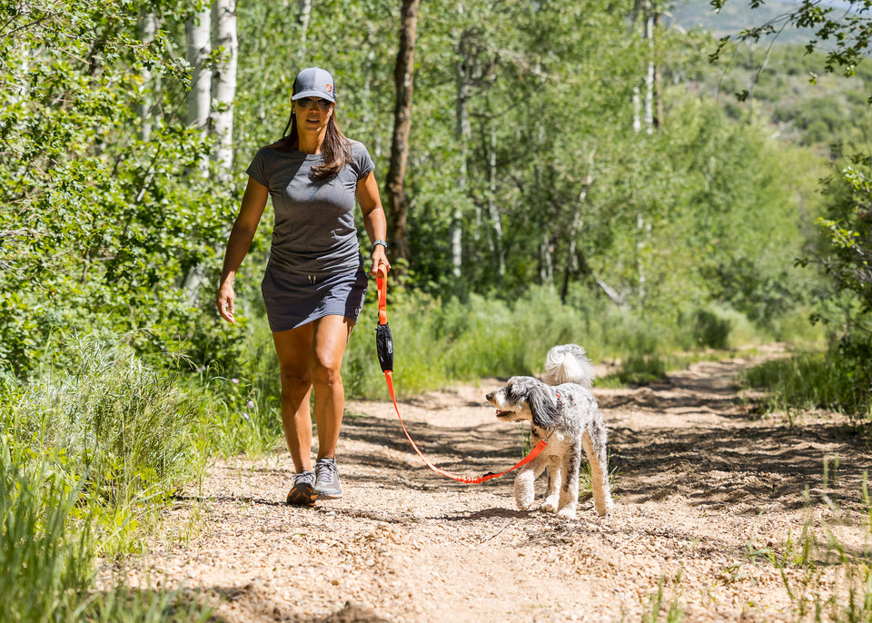 Scout Leash - Follow, Play, Explore