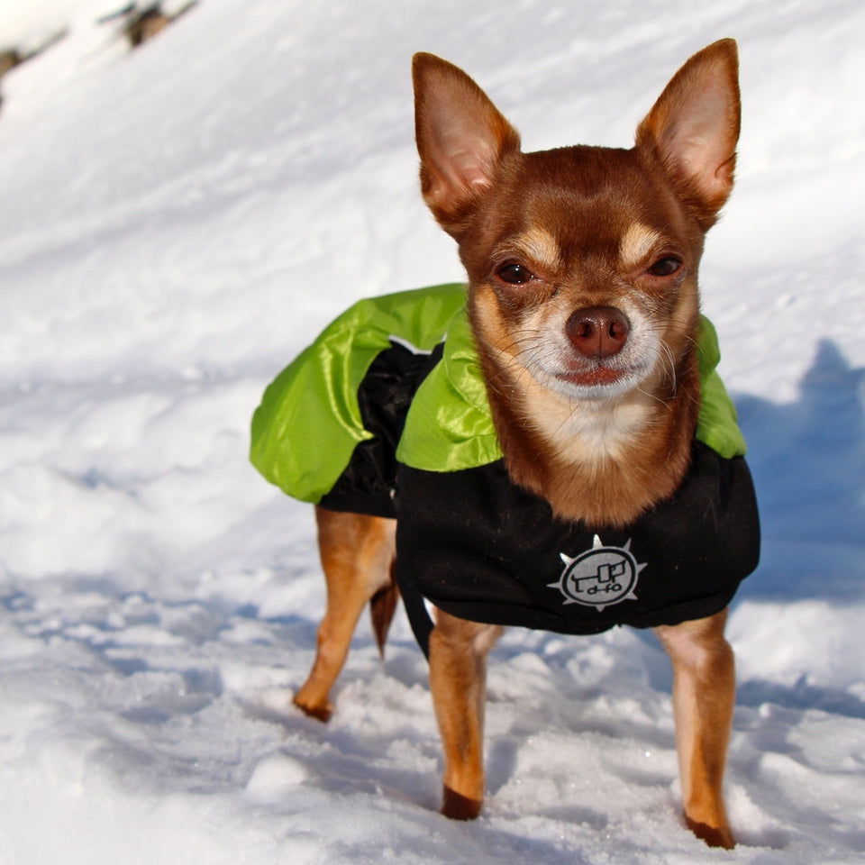 Puff-Doggy - Super Insulating Hybrid Jacket