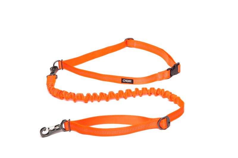 Stunt Runner Leash - Hands Free Leash