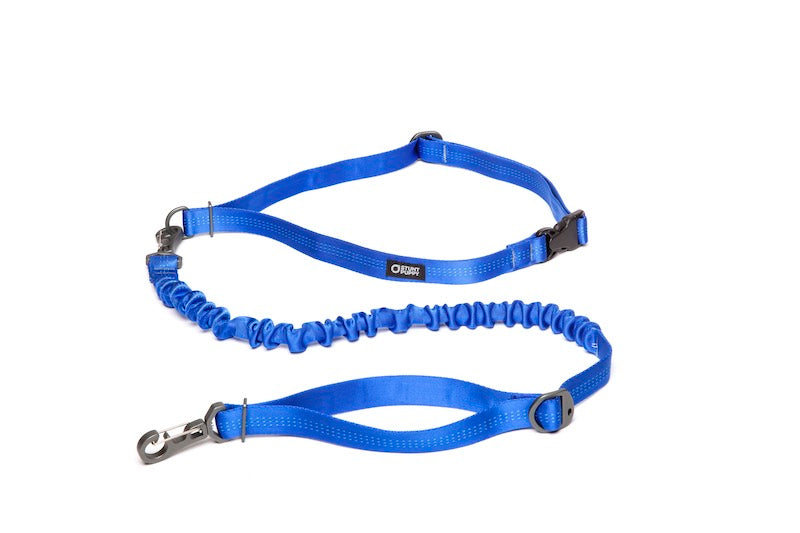 Stunt Runner Leash - Hands Free Leash