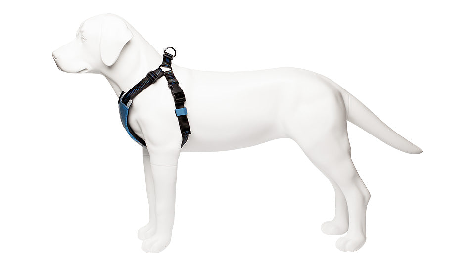 Go-Dog-Glo Harness