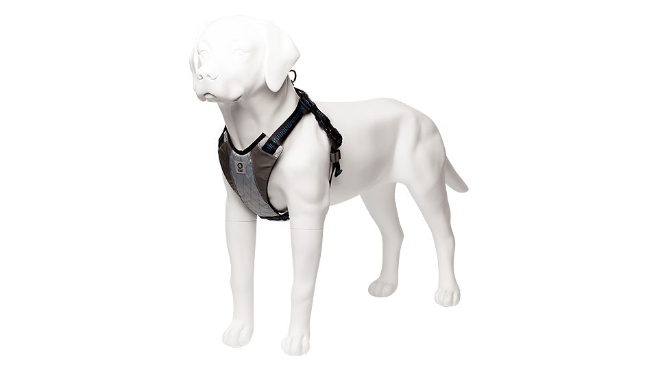 Go-Dog-Glo Harness